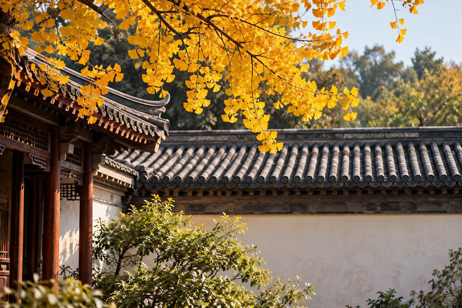把修身，放回一餐一饭之间配图